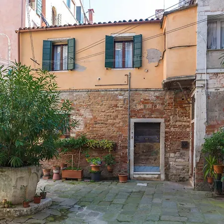 Vigna Tiny In Apartment